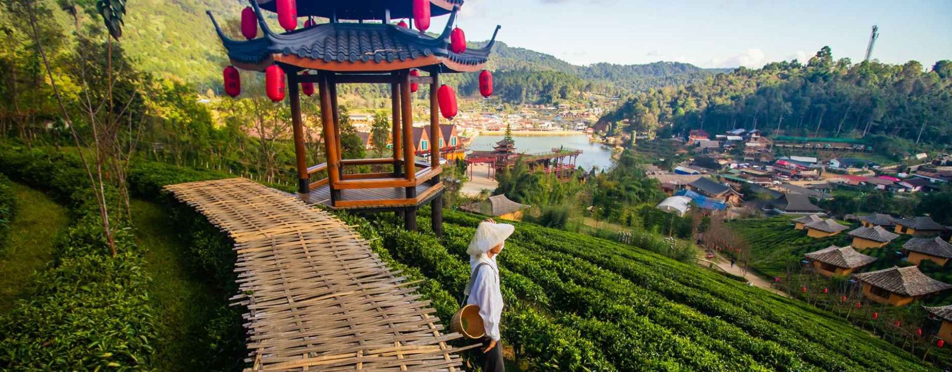 Au Cœur du Lanna : Nature et Culture